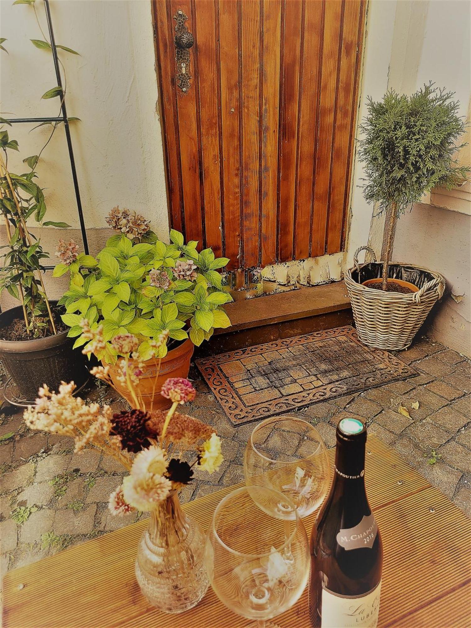 Ferienwohnung Villa Wolke 圣温德尔 外观 照片